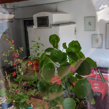 Bed And Breakfast Da Toldo 루쏘 외부 사진