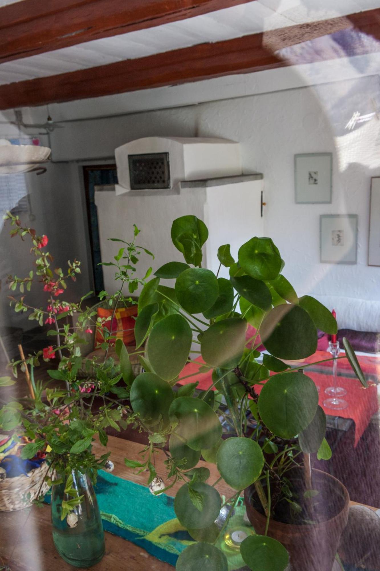 Bed And Breakfast Da Toldo 루쏘 외부 사진