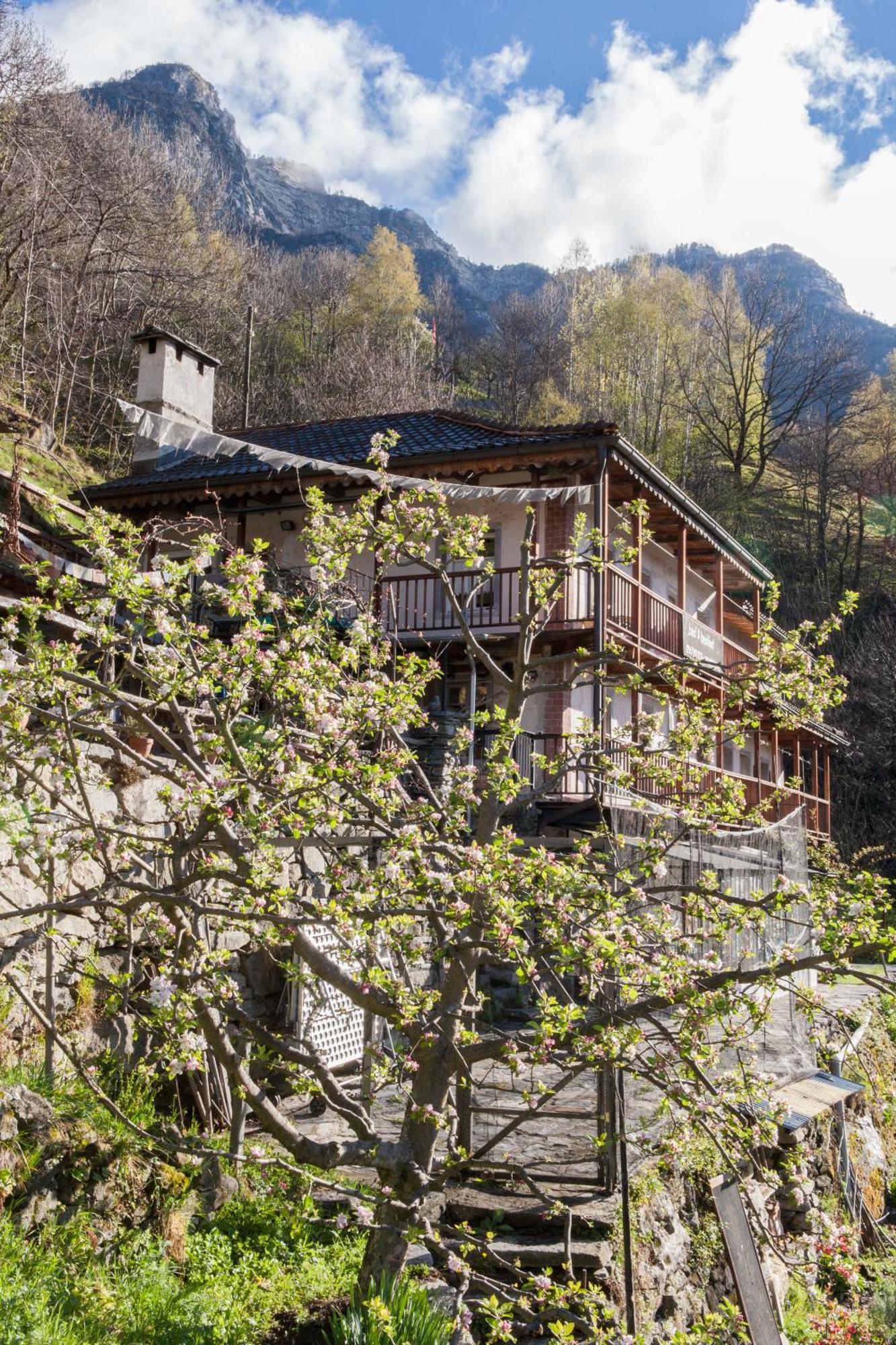 Bed And Breakfast Da Toldo 루쏘 외부 사진